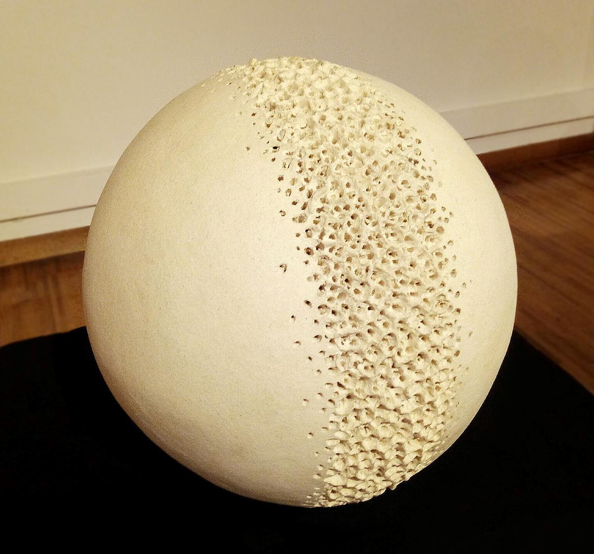 與植物對話 — 魏金蕊陶藝創作論述-《種子的悲歌》側面展出效果。的封面圖
