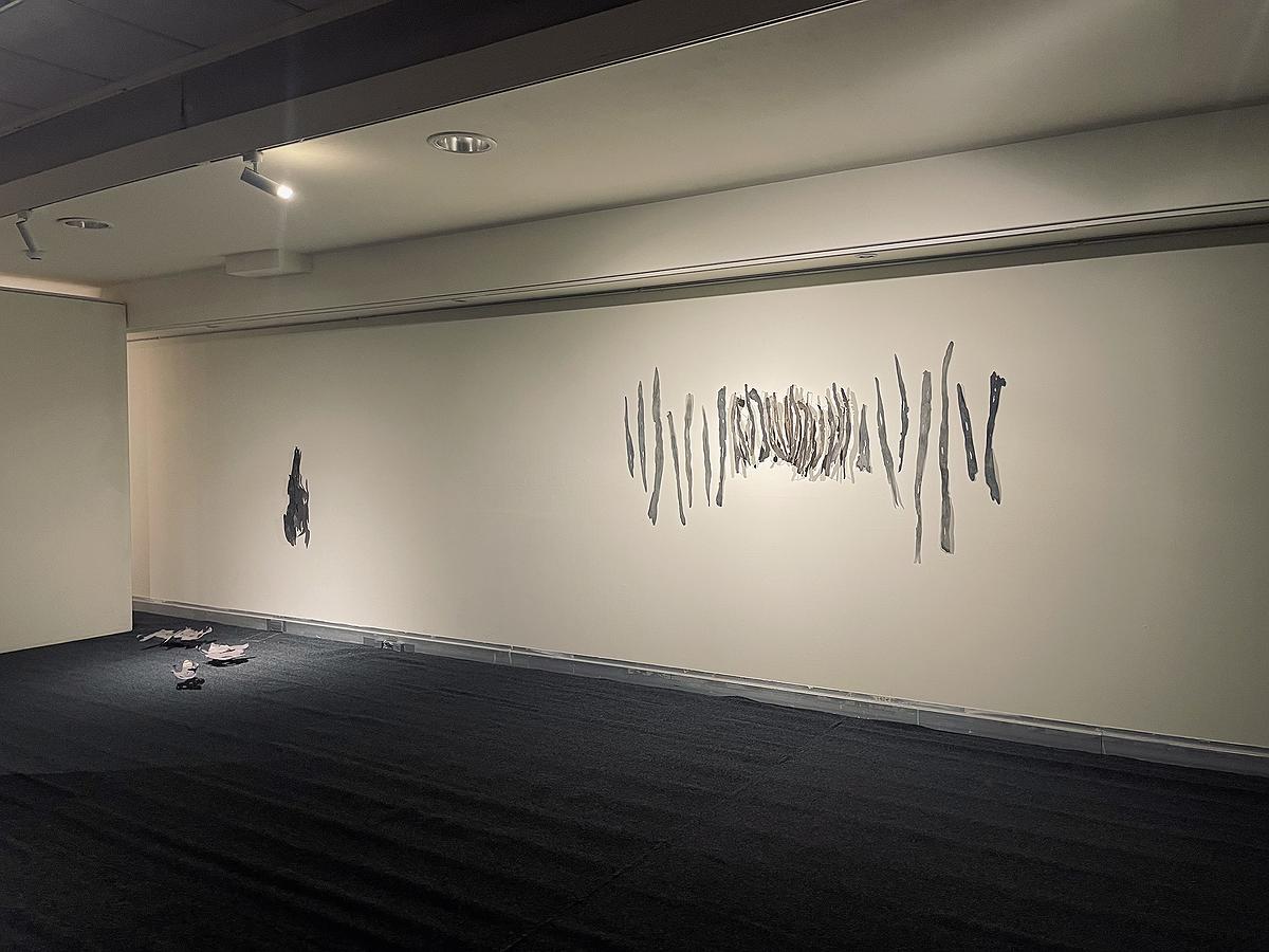 2025_Wearing_the _Skin_exhibtion_venue_room3的封面圖