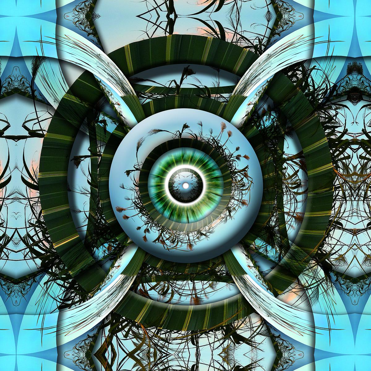 The Study of Using Mandala Drawing for Emotional Relief's Cover