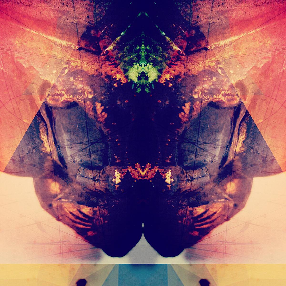 圖載場—白虛與夜實的生物世界-11的封面圖