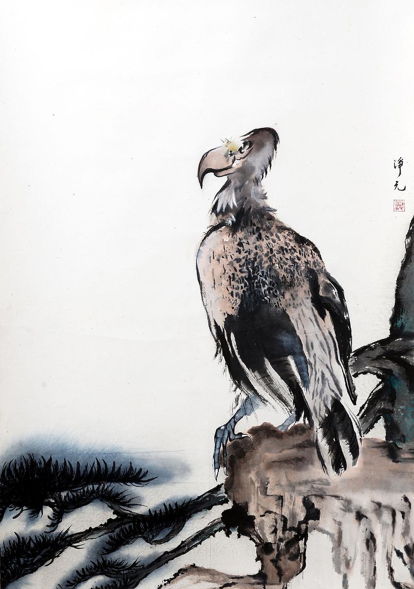 13尋覓的封面圖