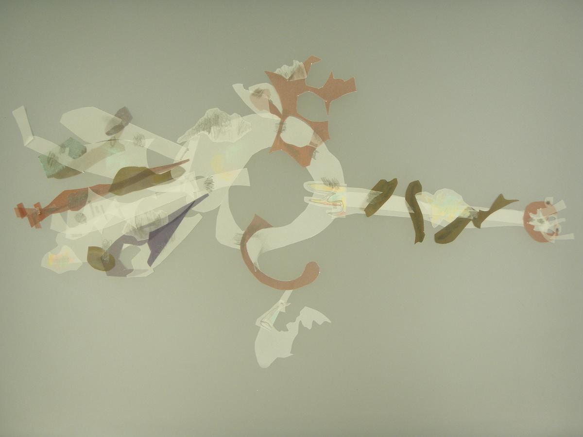 「覆蓋」與「穿透」作為生命演化的符號-30的封面圖