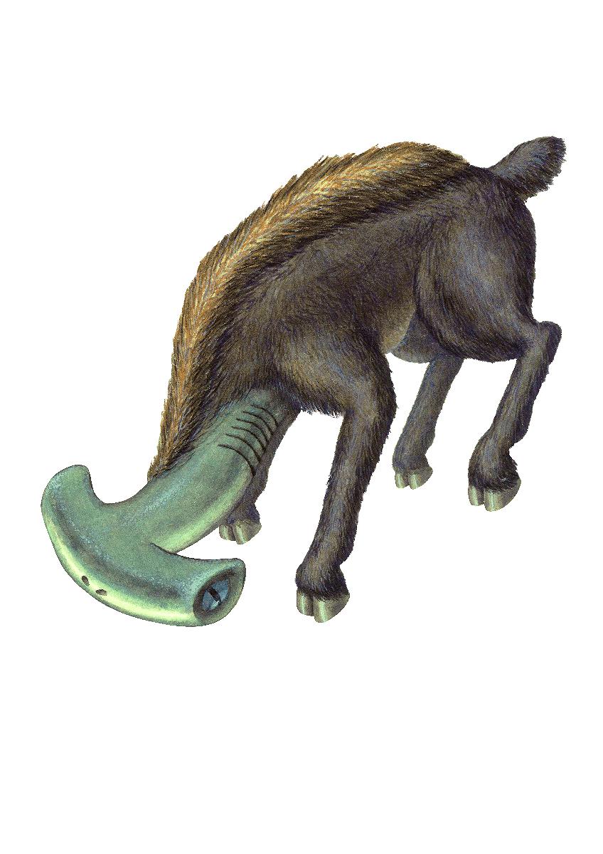 作品2 鯊羌的封面圖