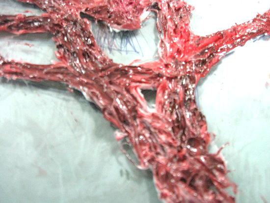 身體的意象與權力-22的封面圖