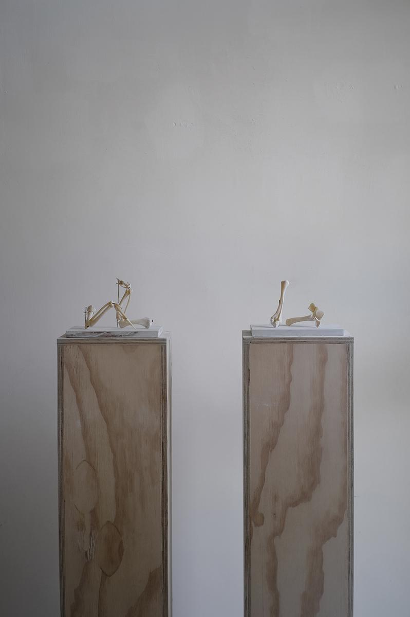 Temporary Scenes-6's Cover