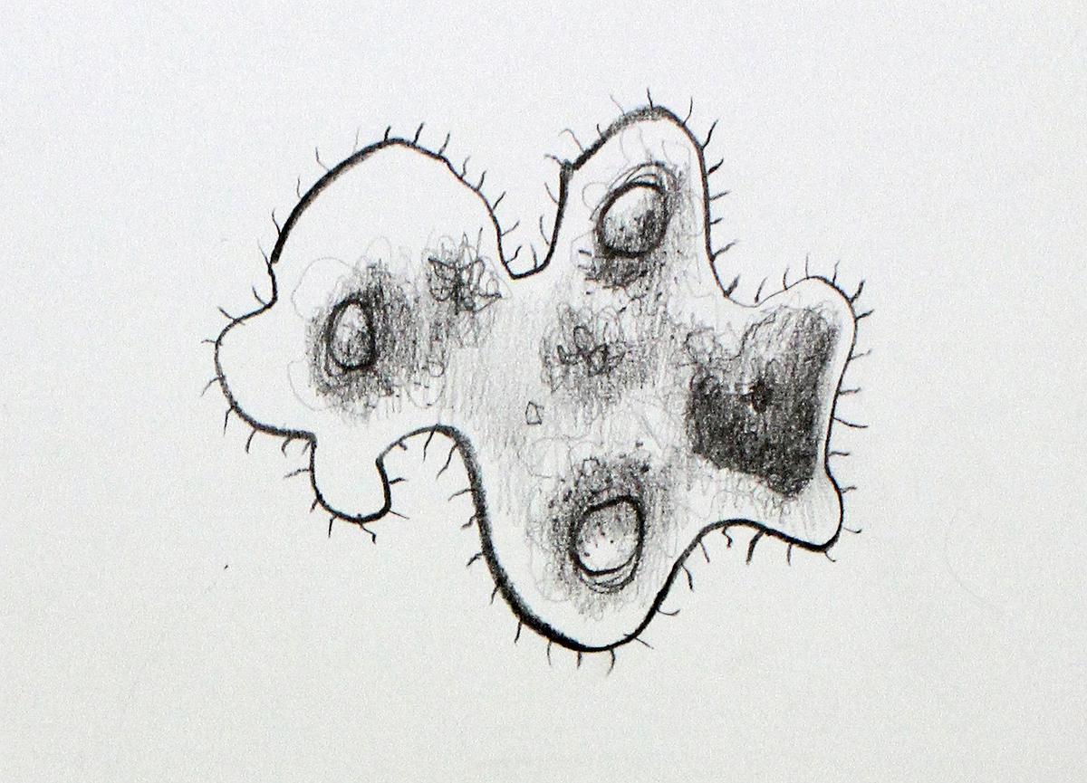 Plants Healing—A Discourse on Ying-Syuan Huang's Artworks's Cover