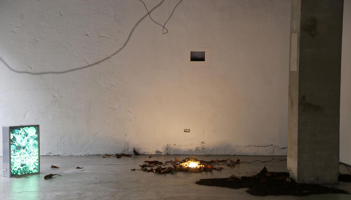 棲居詩學—梁家寧創作論述 《棲居詩》6的封面圖