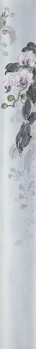 's Cover