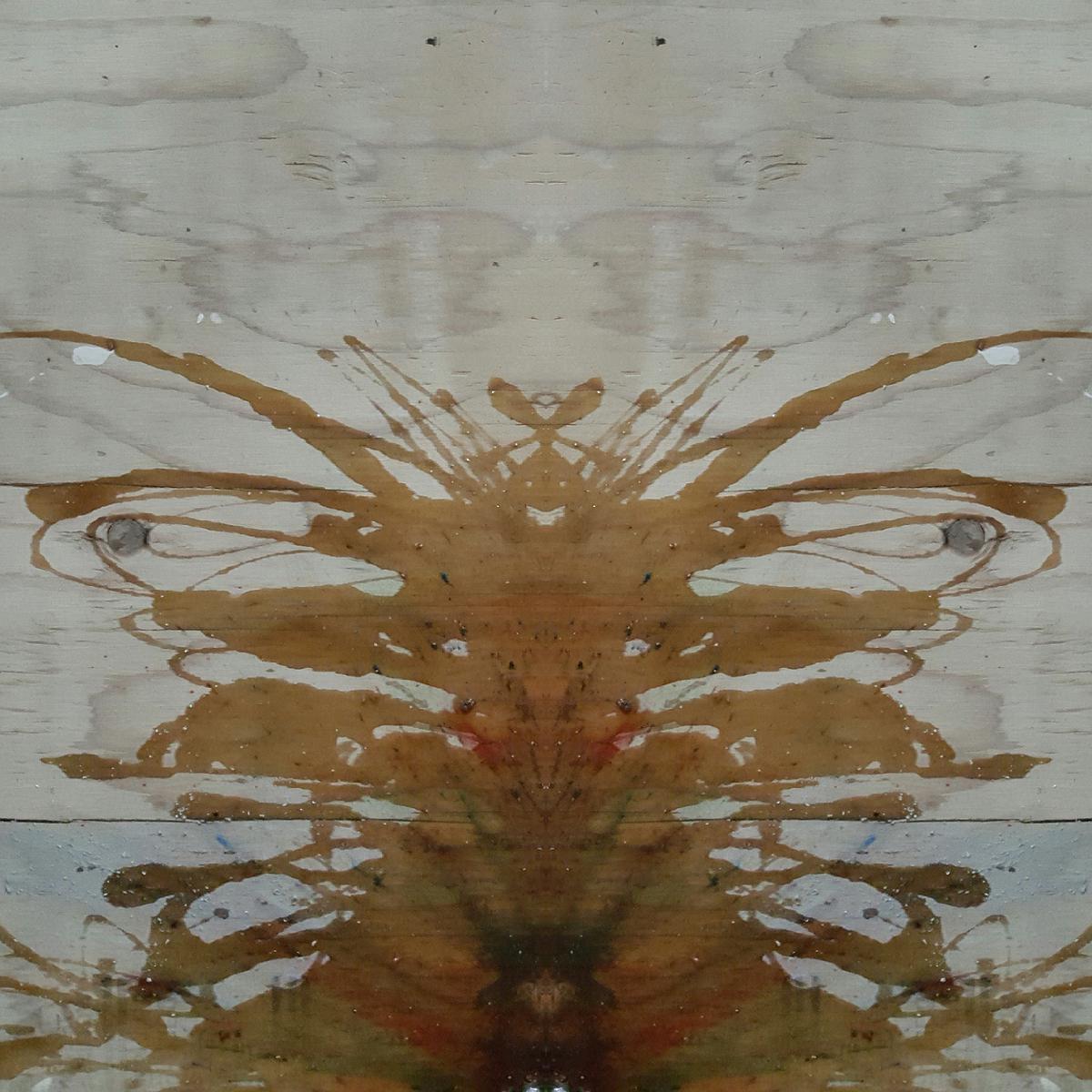 圖載場—白虛與夜實的生物世界-7的封面圖