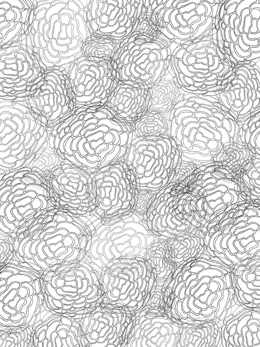 第 一次評圖-10的封面圖