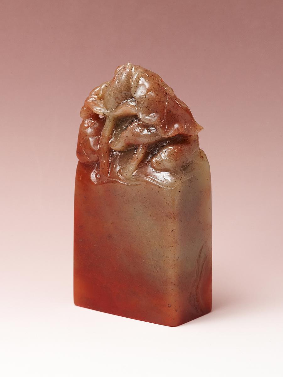 A STUDY OF SEAL KNOB STYLE's Cover