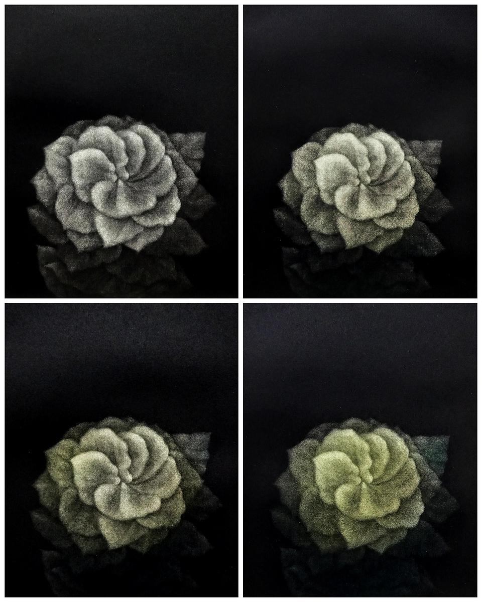 墨蘊花喻—14〈韞—Gardenia〉的封面圖