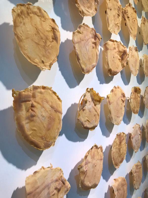 身體邊界的內外乘載─ 乳膠應用於金工創作論述-圖63的封面圖