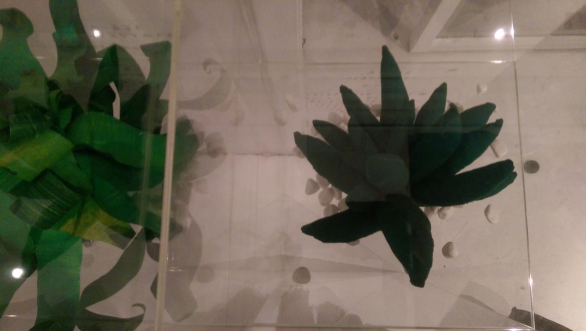 11-25陳于安， 〈鳥巢蕨二世〉的封面圖