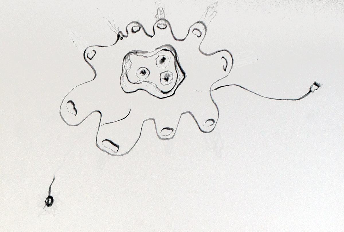 植物療癒—黃瑩瑄創作論述  情緒細胞系列 細胞手稿 10的封面圖