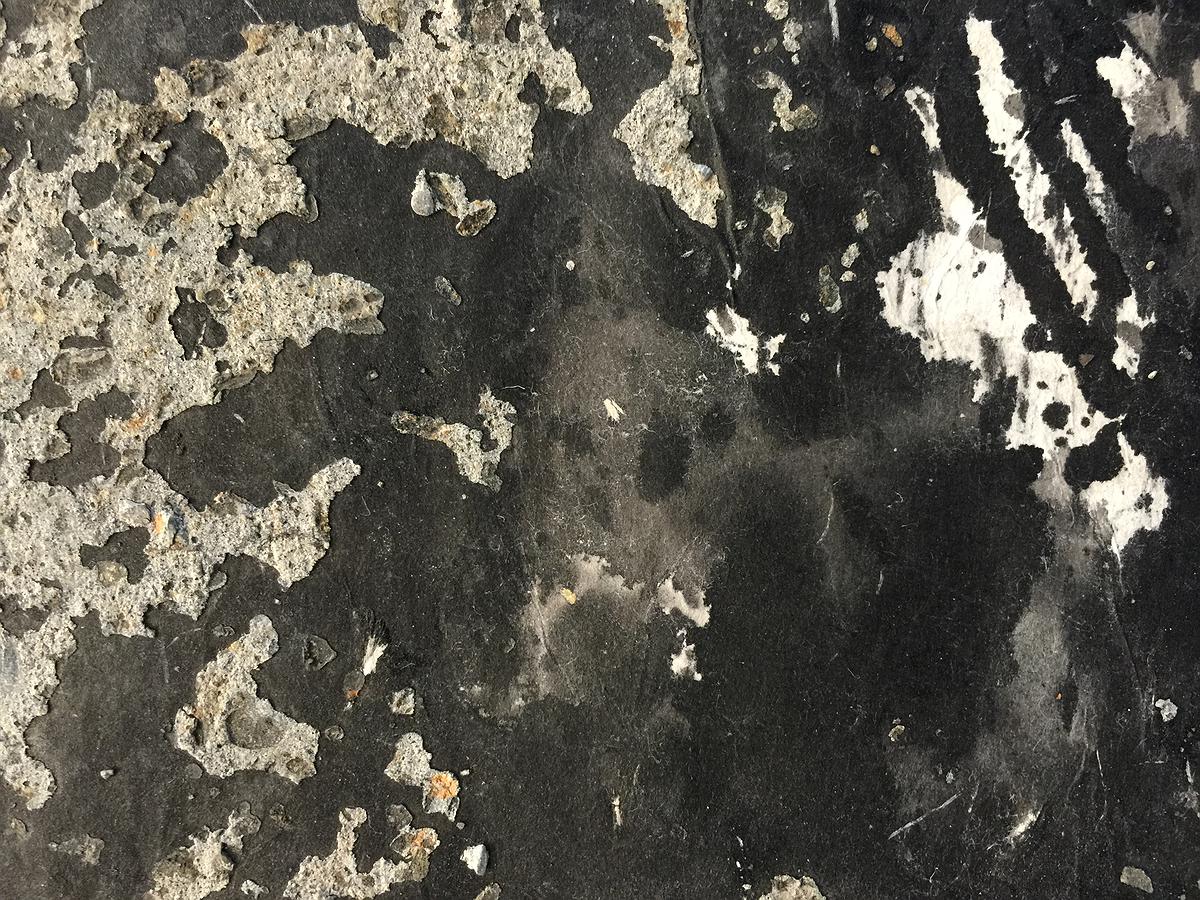 005_2015_據點1_03的封面圖