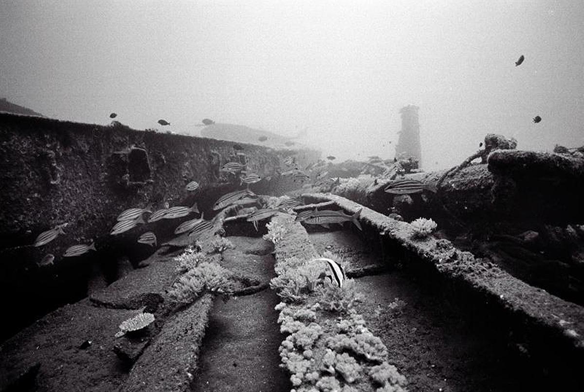 Lanyu of Seeing-42's Cover