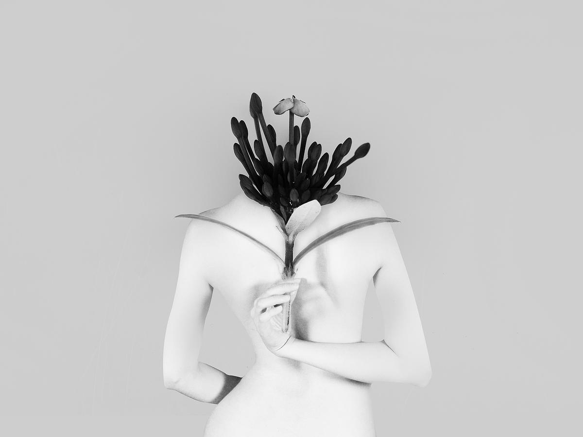's Cover