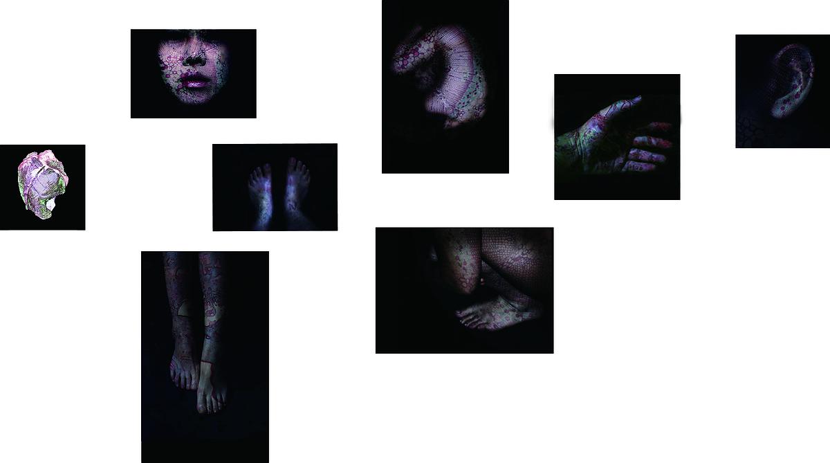 微觀之下的變異幻象–32的封面圖