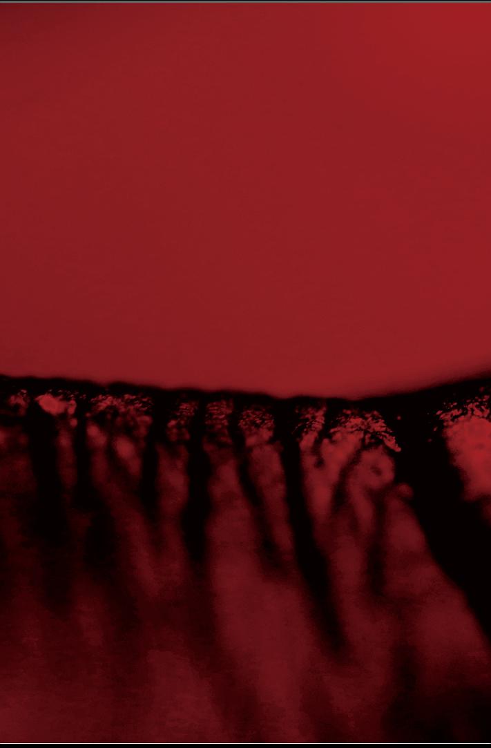 「赤色山丘」 病徵於形態構成之創作研究 3的封面圖