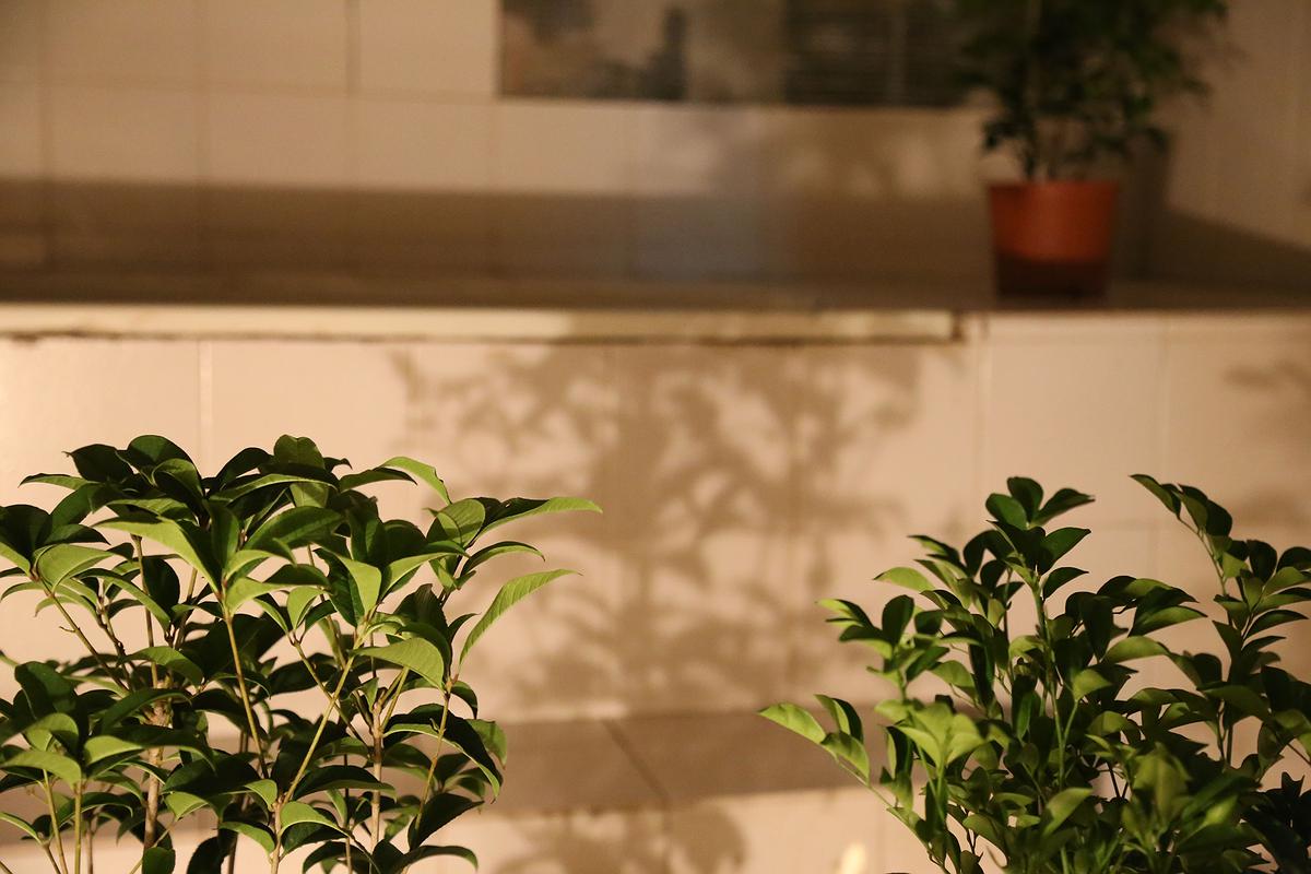 棲居詩學—梁家寧創作論述 《棲居詩》14的封面圖