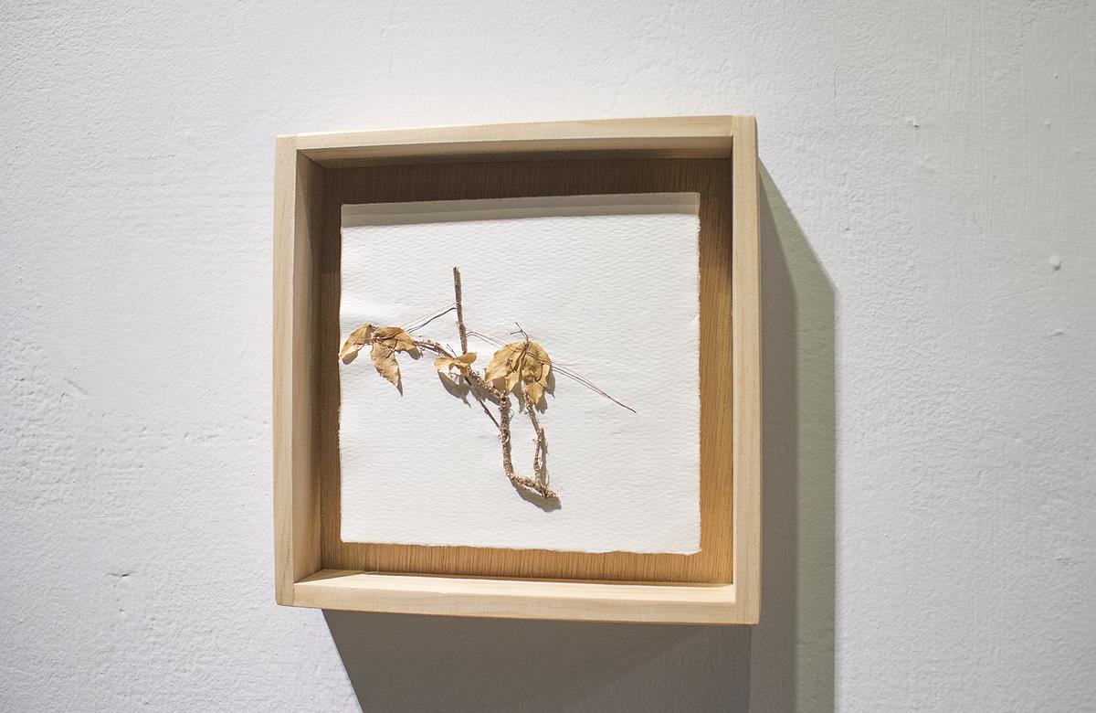 多線創作的首拍：陳昱廷創作研究 陳昱廷，〈P.S. (_____)〉，銅箔、銅線、葉子、水彩紙、木頭，各18x18cm(共 45 個)、各 32x19cm(共 2 個)，2016。9的封面圖