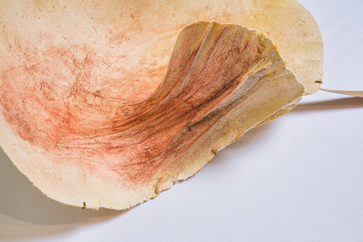 2025_09_Body_Fragments_plaster_close的封面圖