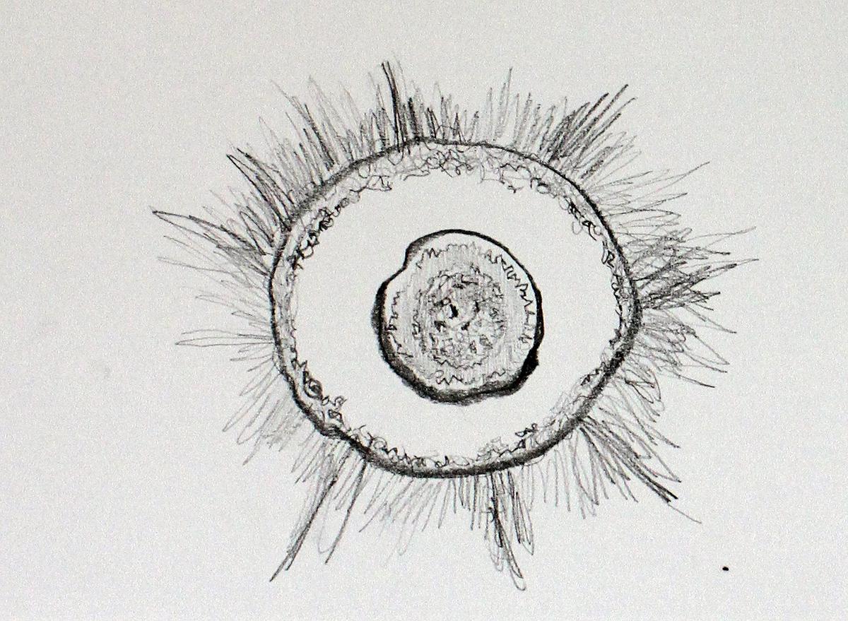 Plants Healing—A Discourse on Ying-Syuan Huang's Artworks's Cover