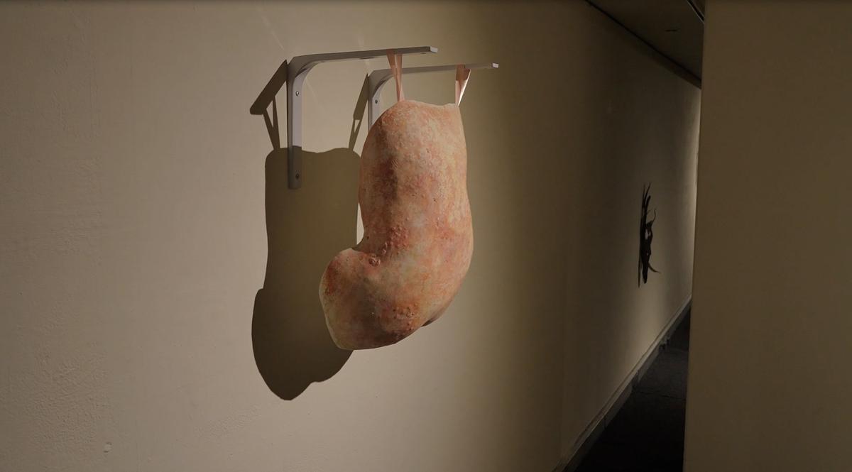 2025_Wearing_the _Skin_exhibtion_venue_room2-3的封面圖