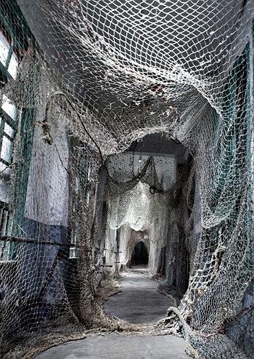 〈迷網之境〉，2018，漁網、繩子、樹酯、Antari ICE-101、ARRI燈-2的封面圖