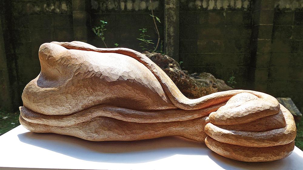 2014鰭a的封面圖