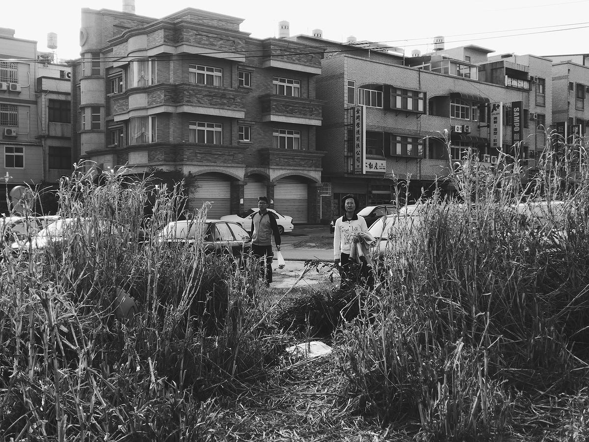 島離-厝-1的封面圖