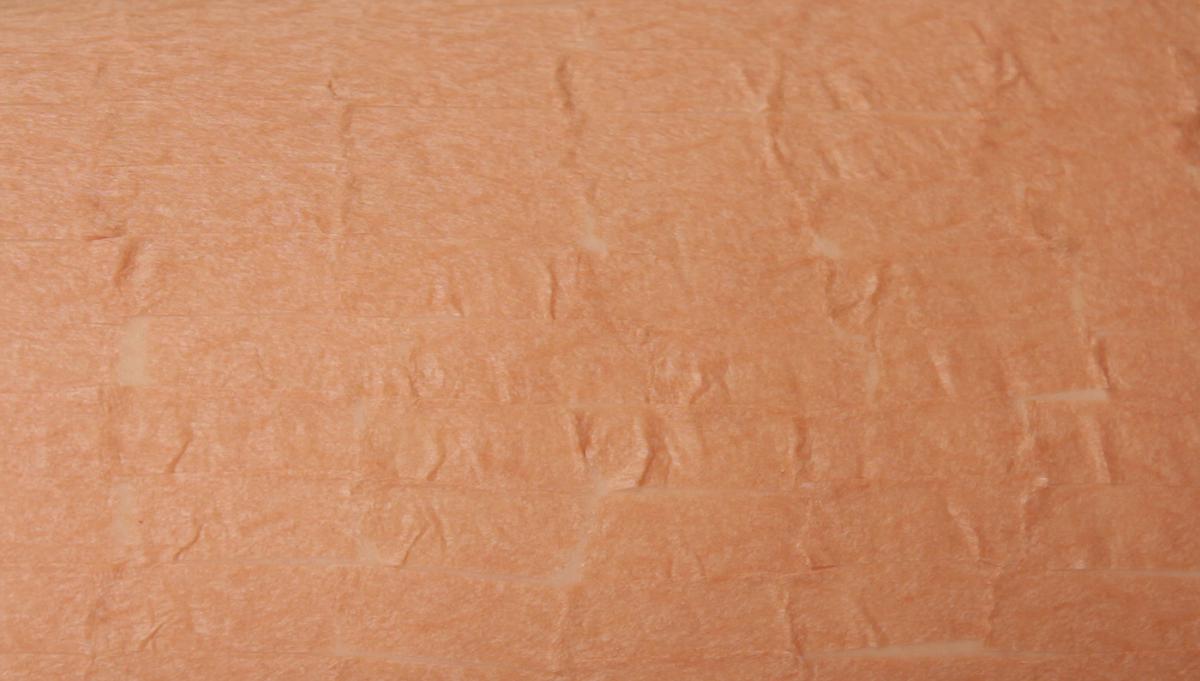 膚色膠帶_03的封面圖