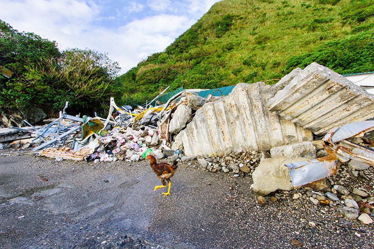 Lanyu of Seeing-16's Cover