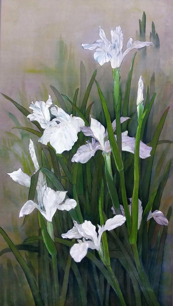 5.劉映捷-白鳶尾的封面圖