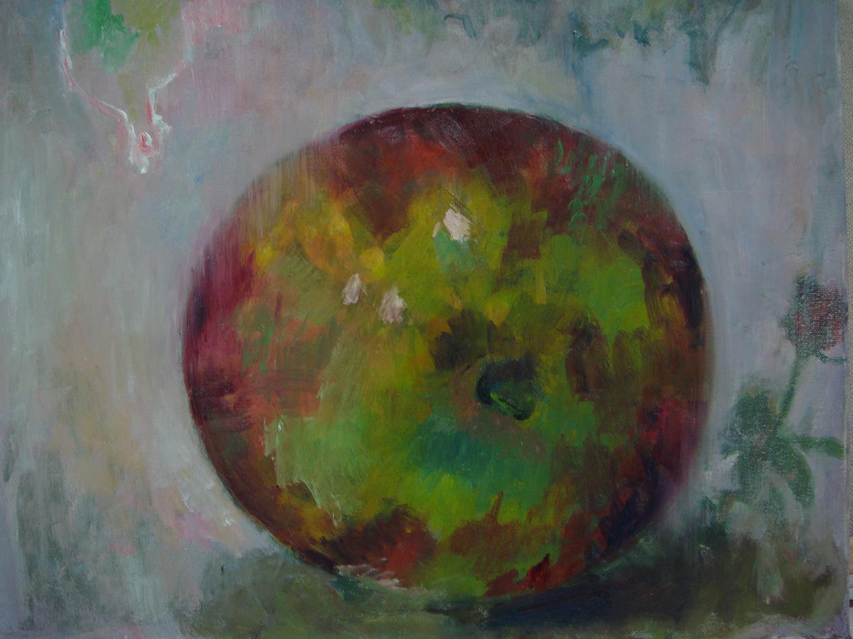 48玫瑰的封面圖