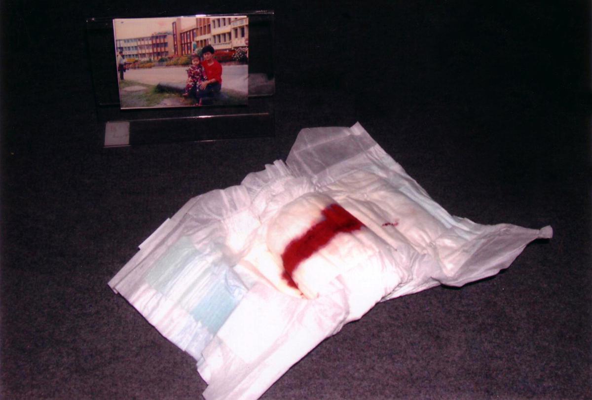 2003長大的鐵証-現成物的封面圖