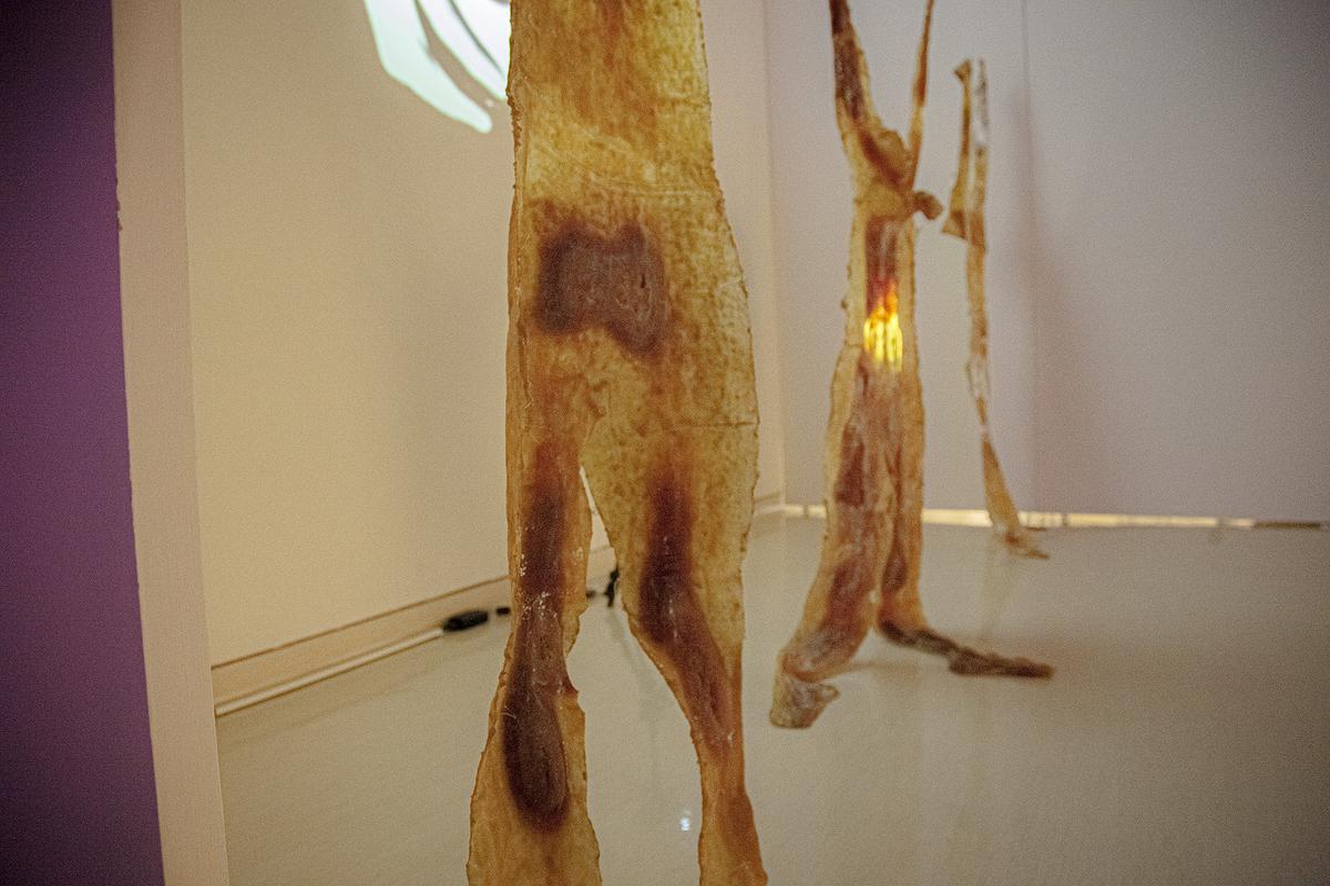 異類之於同體_8的封面圖