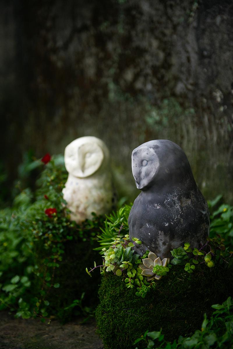 青苔球花器2及3合影的封面圖