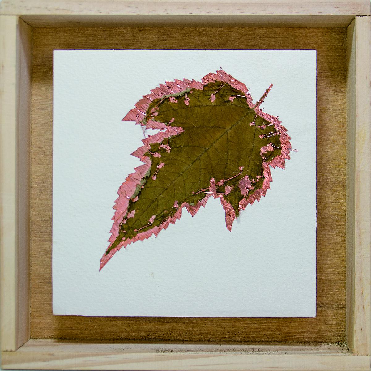 多線創作的首拍：陳昱廷創作研究 陳昱廷，〈P.S. (_____)〉，銅箔、銅線、葉子、水彩紙、木頭，各18x18cm(共 45 個)、各 32x19cm(共 2 個)，2016。5的封面圖