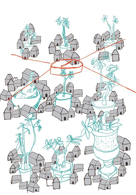 盆栽計劃 文件六的封面圖