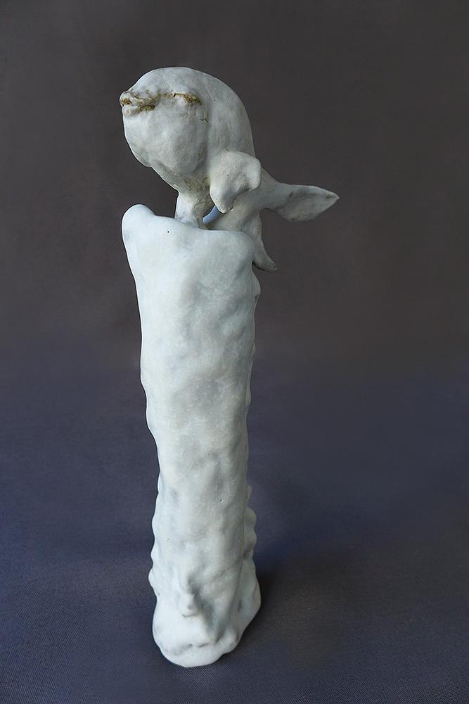 2012蠟燭魚b的封面圖