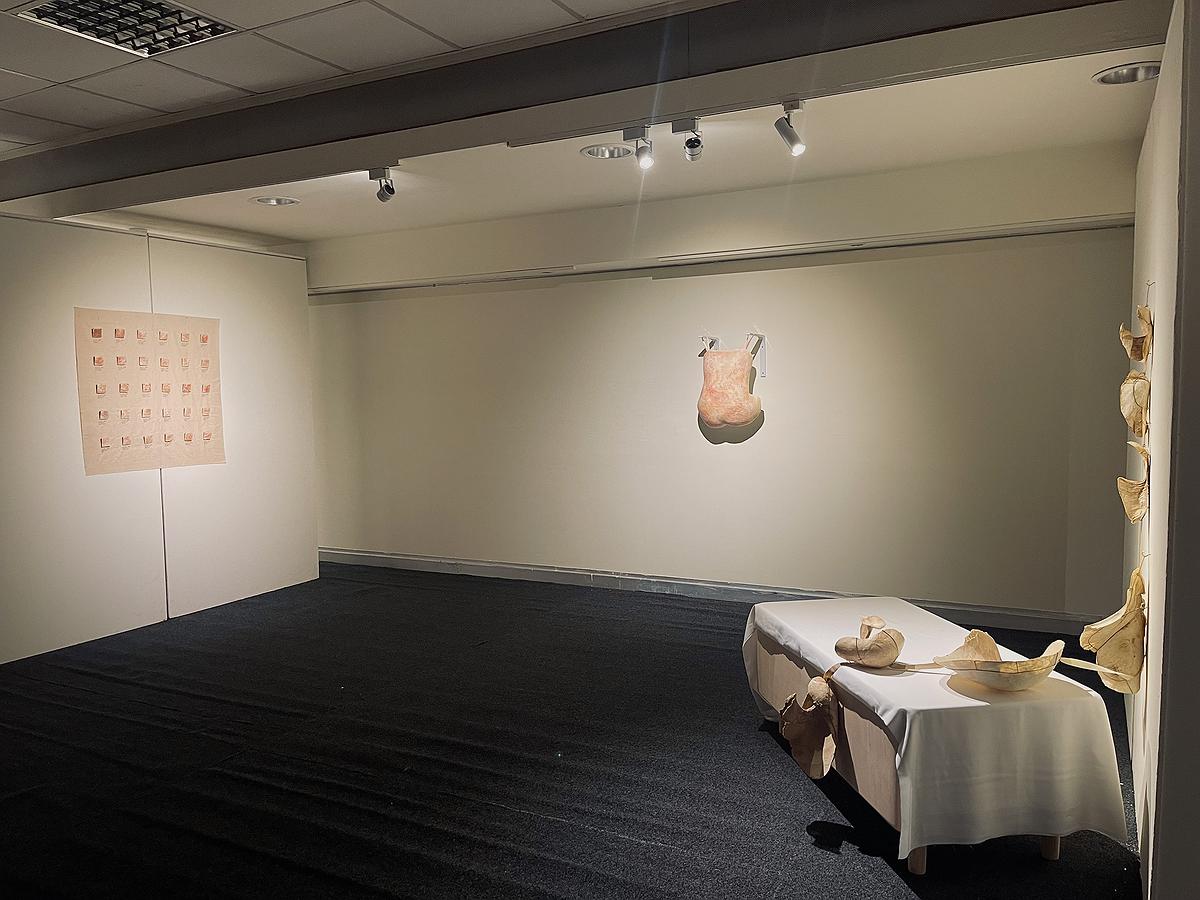 2025_Wearing_the _Skin_exhibtion_venue_room2的封面圖