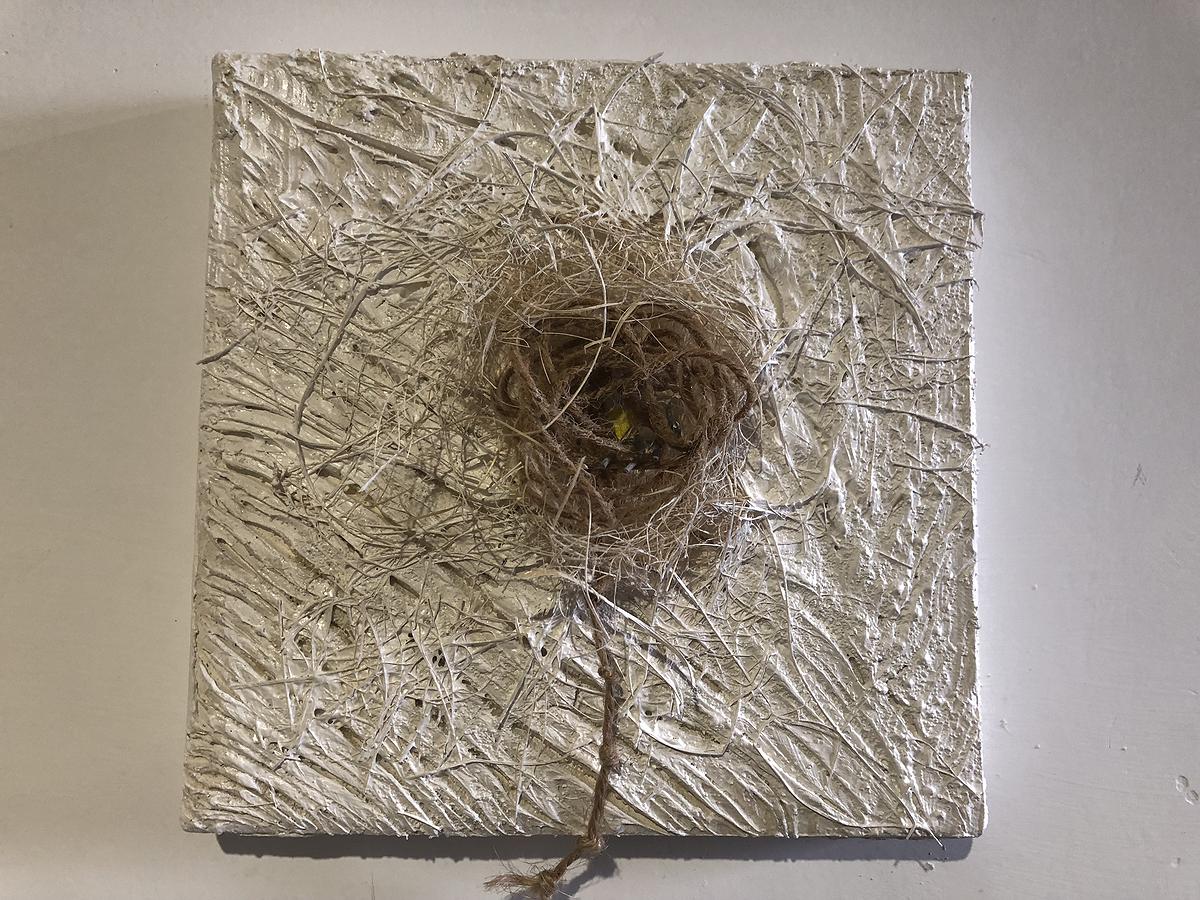 線，在進行式 - 曾微雅創作研究 IMG_9356的封面圖