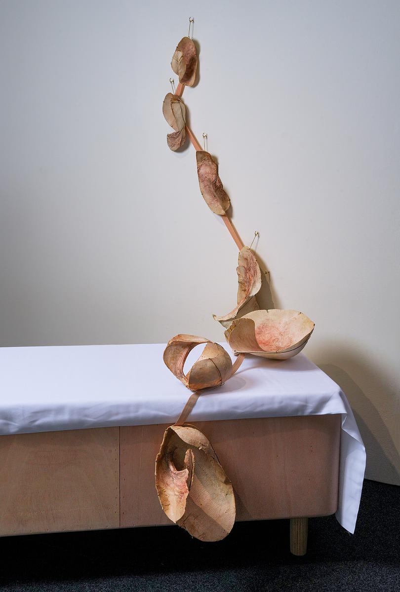 2025_09_Body_Fragments_plaster_all的封面圖