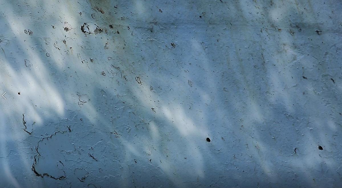 〈流變空間〉，2022，樹酯、漁網、照片、木馬、魚（模型）、黑鳶蛋（模型）LED燈，依場域而定。-3的封面圖