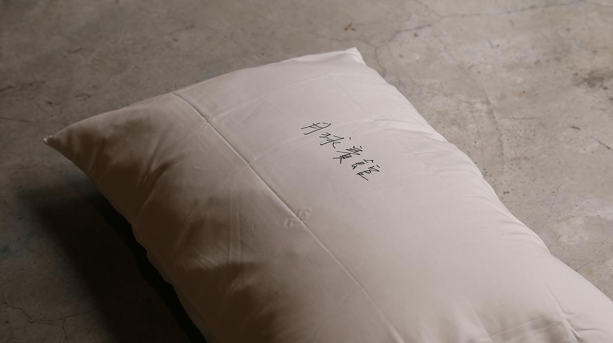 棲居詩學—梁家寧創作論述 《棲居詩》8的封面圖