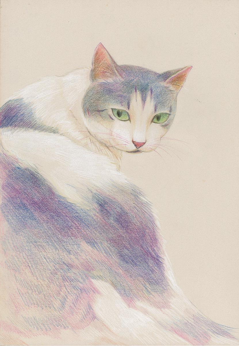 動物系列-2的封面圖