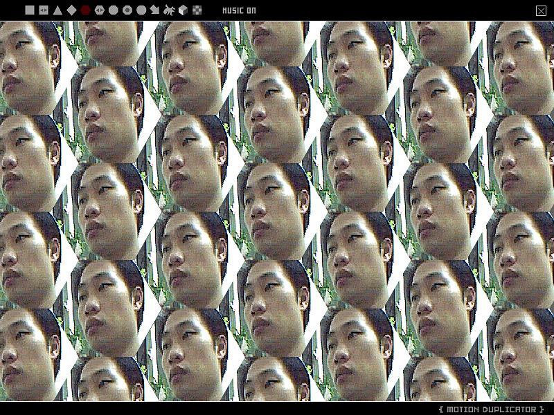 複動與幻象-13的封面圖