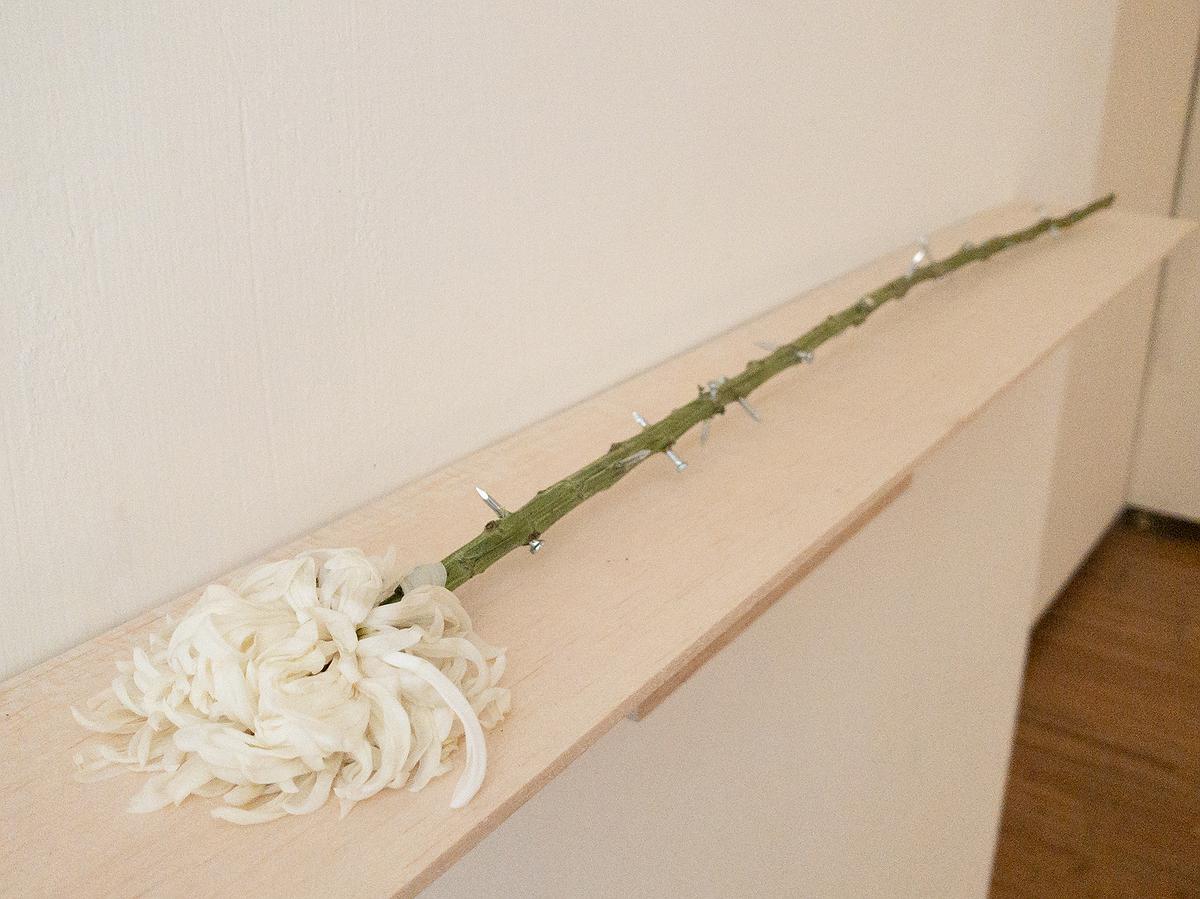 多線創作的首拍：陳昱廷創作研究 「無葉」的封面圖